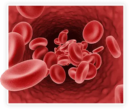 Prostafense Natural Prostate Support Supplement